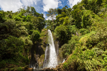Waterfall in jungle