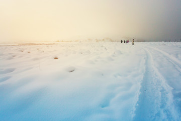 Beautiful landscape of the Snow with Tundra arctic in Teriberka ,Russia.