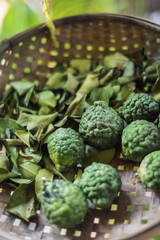 thai kaffir lime fruit and dried leaves in rustic ingredients basket