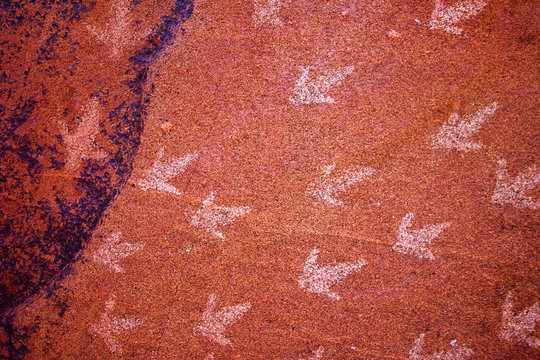 Aboriginal Carvings Emu Tracks Burrup Peninsula Dampier Western Australia