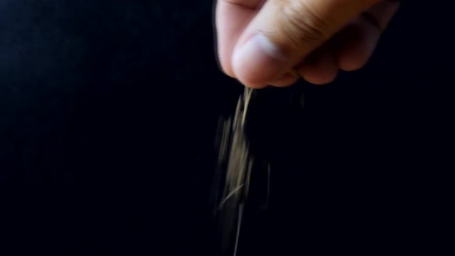 Chef adds dry oregano to the dish - cooking food
