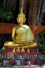 Ancient Golden Buddha under a tree, Bangkok, Thailand