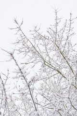 Fototapeta na wymiar Wintereinbruch mit dauerhaftem Schneefall