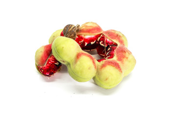 Macro of single Manila tamarind isolated white background