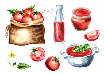 Tomatoes set. Hand drawn watercolor illustration  isolated on white background