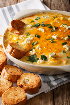 Delicious buffalo chicken dip and crostini macro in a dish on the table. vertical