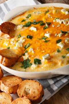 Hot buffalo dip with chicken and crostini macro in a dish. vertical