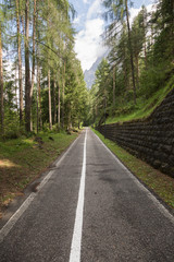 Bike and Walking Footpath among Trees of Italian Alps Mountains
