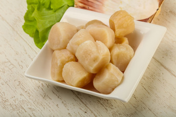 Raw scallops heap