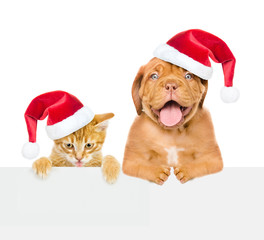Cat and dog with red christmas hats peeking above empty white board. isolated on white background. Space for text