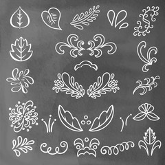 Set hand drawn white lines leaves, waves isolated on chalkboard background