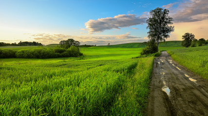 po burzy © Janusz Lipiński