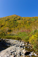 栂池自然園　紅葉／長野県小谷村