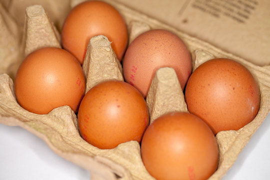german eggs lies in a egg carton