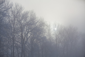Obraz na płótnie Canvas Foggy winterlandscape with sun ball and forest
