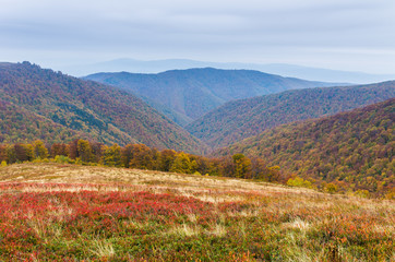 Colorful autumn landscape. Ukrainian Carpathians. Borzhava.