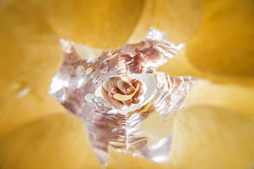 Hand hold  potato chip in bag.Worm view inside bag.