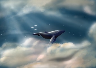 Floating Whale