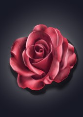 Rose