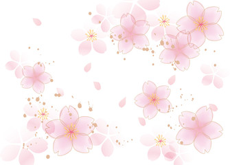 咲くふわ 桜 白