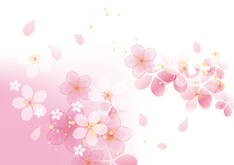 咲くふわ 桜 シンプル