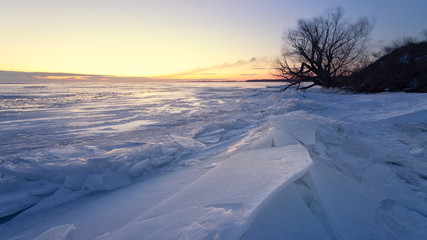 Fototapeta na wymiar dawn at the frozen lake shore / lonely tree in the rays of dawn