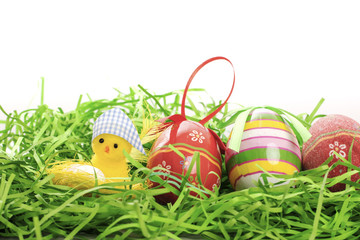 Easter chicken, eggs and decoration on white background