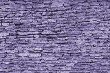 Texture of coquina, limestone (ultra violet)