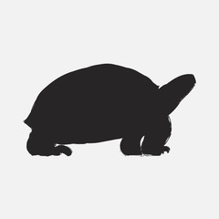 Illustration of turtle sketch drawing