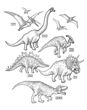 Realistic graphic dinosaurs