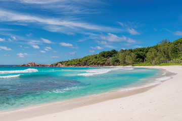 Untouched sandy beach with palm and turquoise sea on Paradise island.