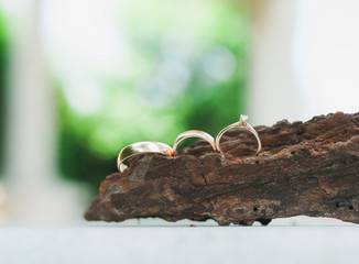 Wedding rings from gold close-up. On a leaf of a flower and a wooden crust.