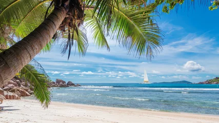 Crédence de cuisine en verre imprimé Plage et mer Plage de sable avec palmiers et voilier dans la mer turquoise sur l& 39 île paradisiaque.