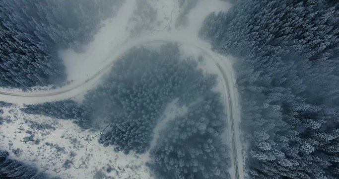 Aerial view of trees covered with snow in winter