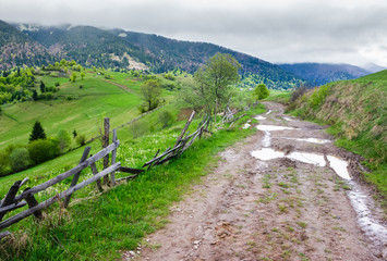 Fototapeta na wymiar country road through rural area in mountains. beautiful landscape on a cloudy day in springtime