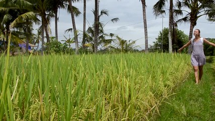 Young Beautiful Woman Walking on Rice Fields at Sunrise Tracking Shot