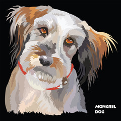 Fluffy dog colorful vector portrait