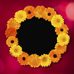 Beautiful Holiday circle Floral photo Frame