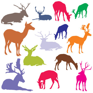 Vector set of colorful deer silhouettes