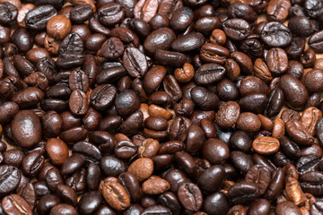 Arabica coffee,coffee,Robusta