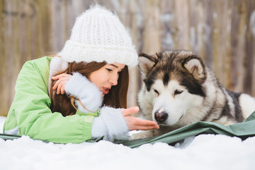 Young woman owner with her cute alaskan malamut dog.