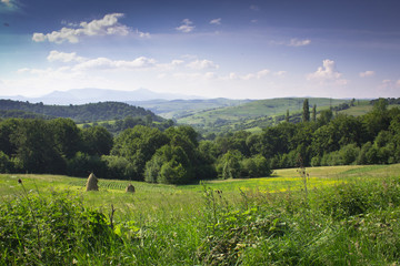 A typical scene from the rural life of the western region of Ukraine - a garden on the slope of the...