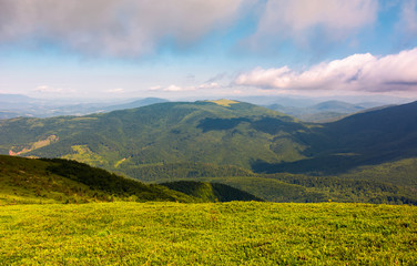 grassy meadow on hillside on a cloudy day. beautiful mountainous landscape in summertime. location Runa mountain, Ukraine