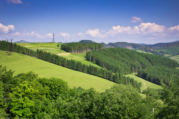 Beautiful panorama of the forest nature of the Ukrainian region
