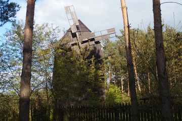 Stary drewniany wiatrak na Pojezierzu Powidzkim © Iwona