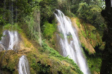 Fototapeta na wymiar Waterfall water jets fall from a height between rocks and vegeta