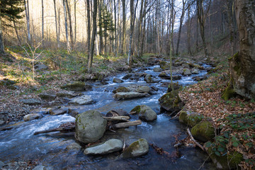 Spring streams of the mountain river, which is located in the forest area in the territory of western Ukraine