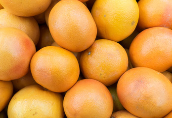 ripe grapefruits on the market