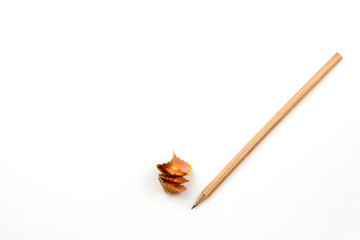 Pencil on White Paper