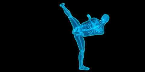 Obraz premium Very detailed and medically accurate 3D illustration of a kicking guy.